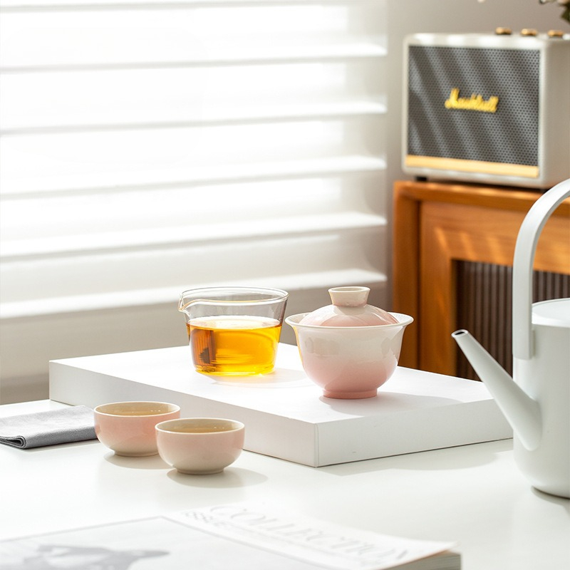 Gradient Ash Glaze Ceramic Tea - Travel Luggage Set recension och pris
